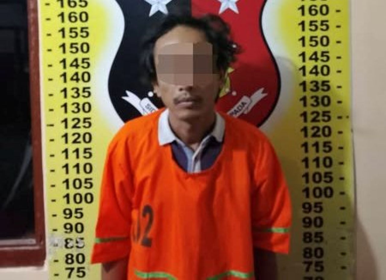 Delpn Maurits Pasaribu alias Moko