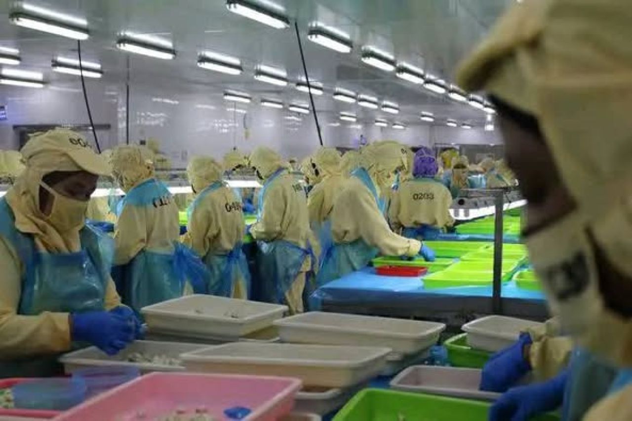 PT Fresh On Time Seafood