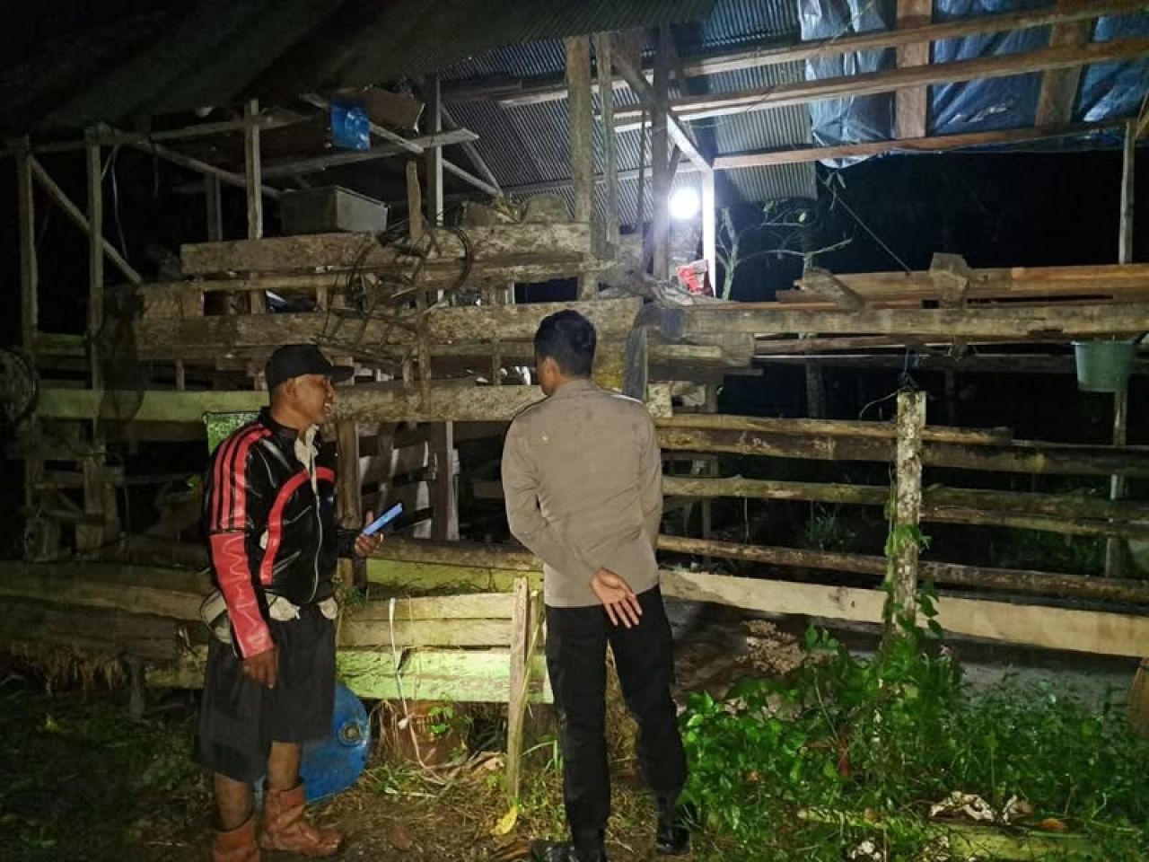 Lokasi sapi yang dicuri