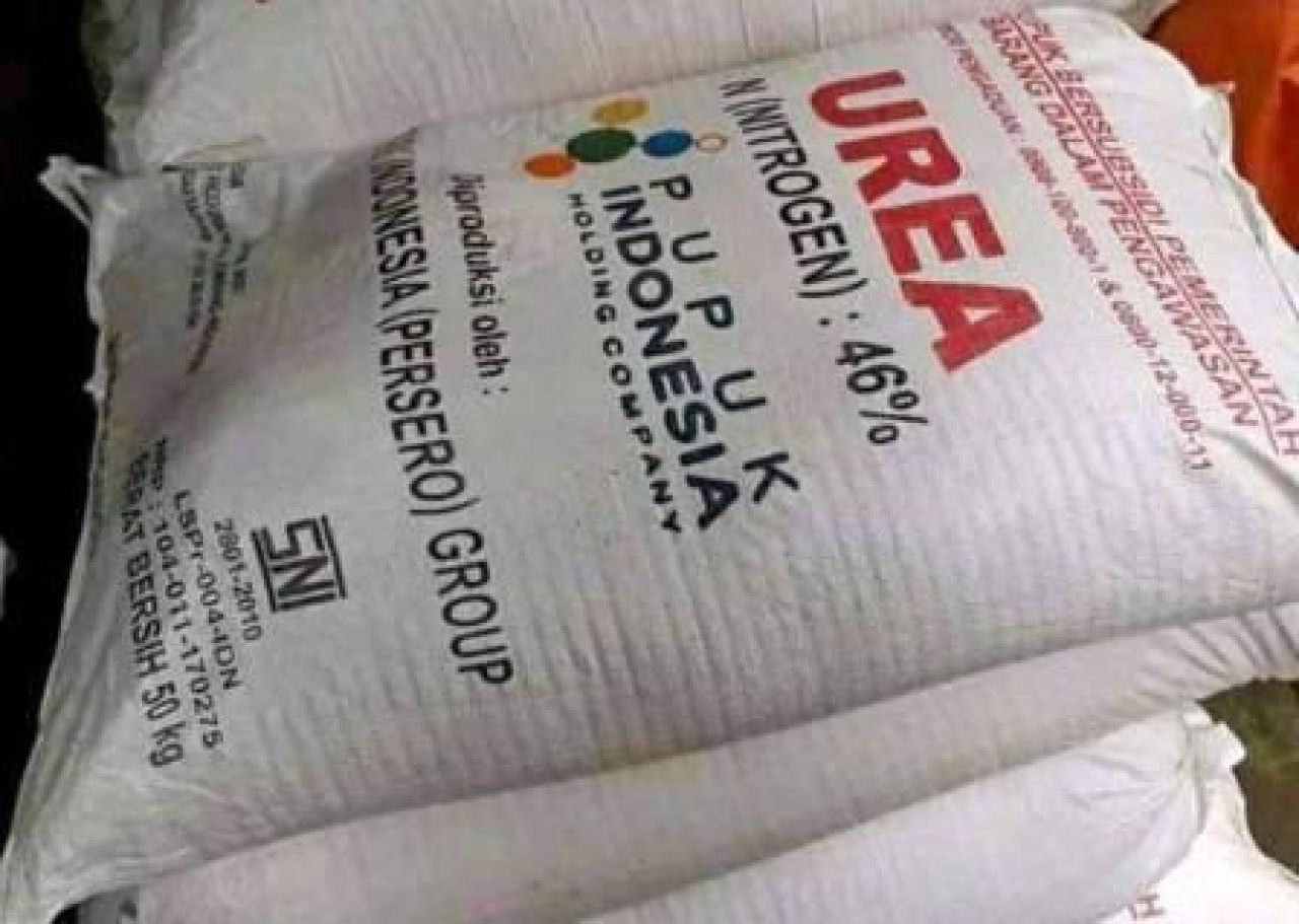 Pupuk bersubsidi jenis Urea