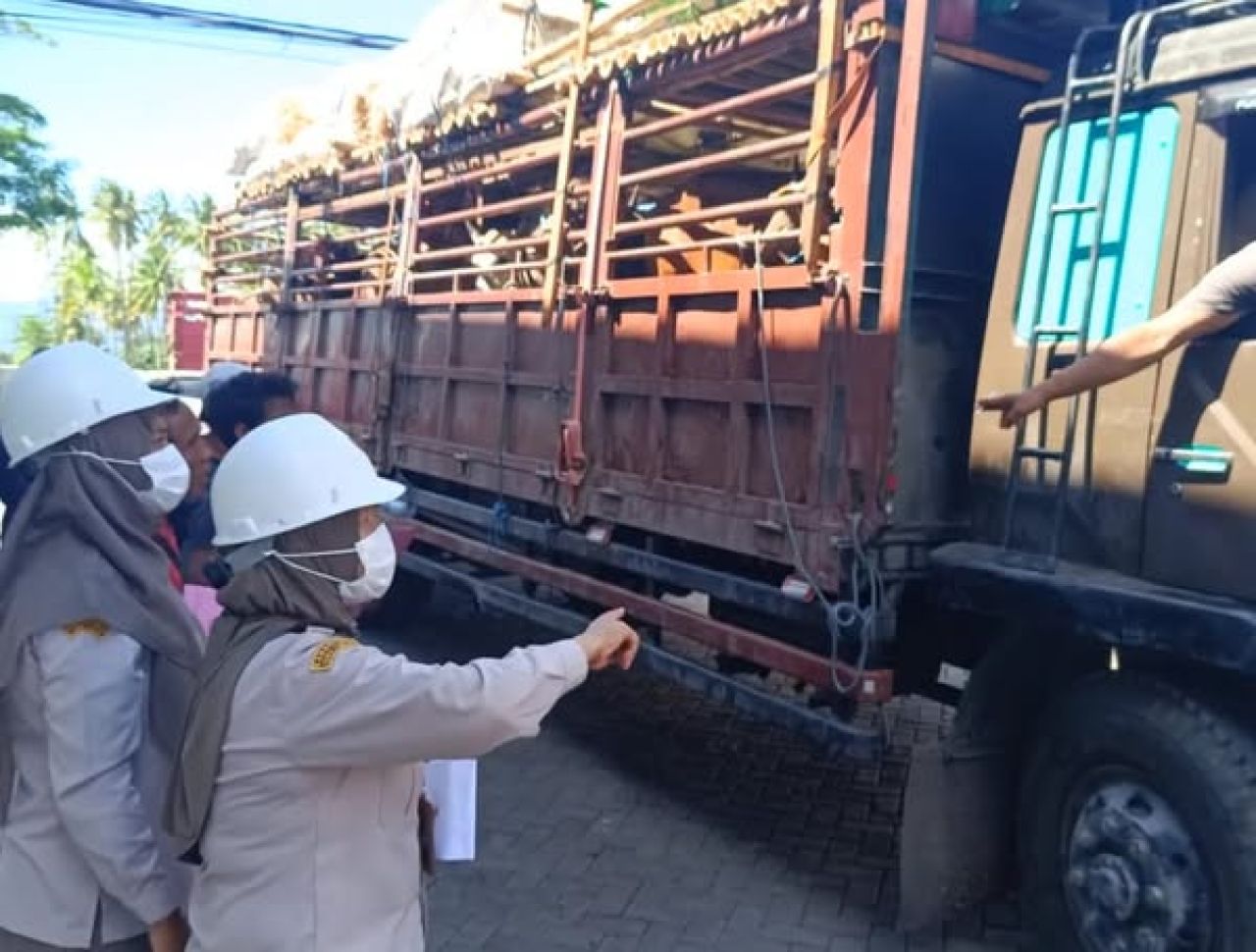 Hewan kurban yang masuk ke Jawa Timur