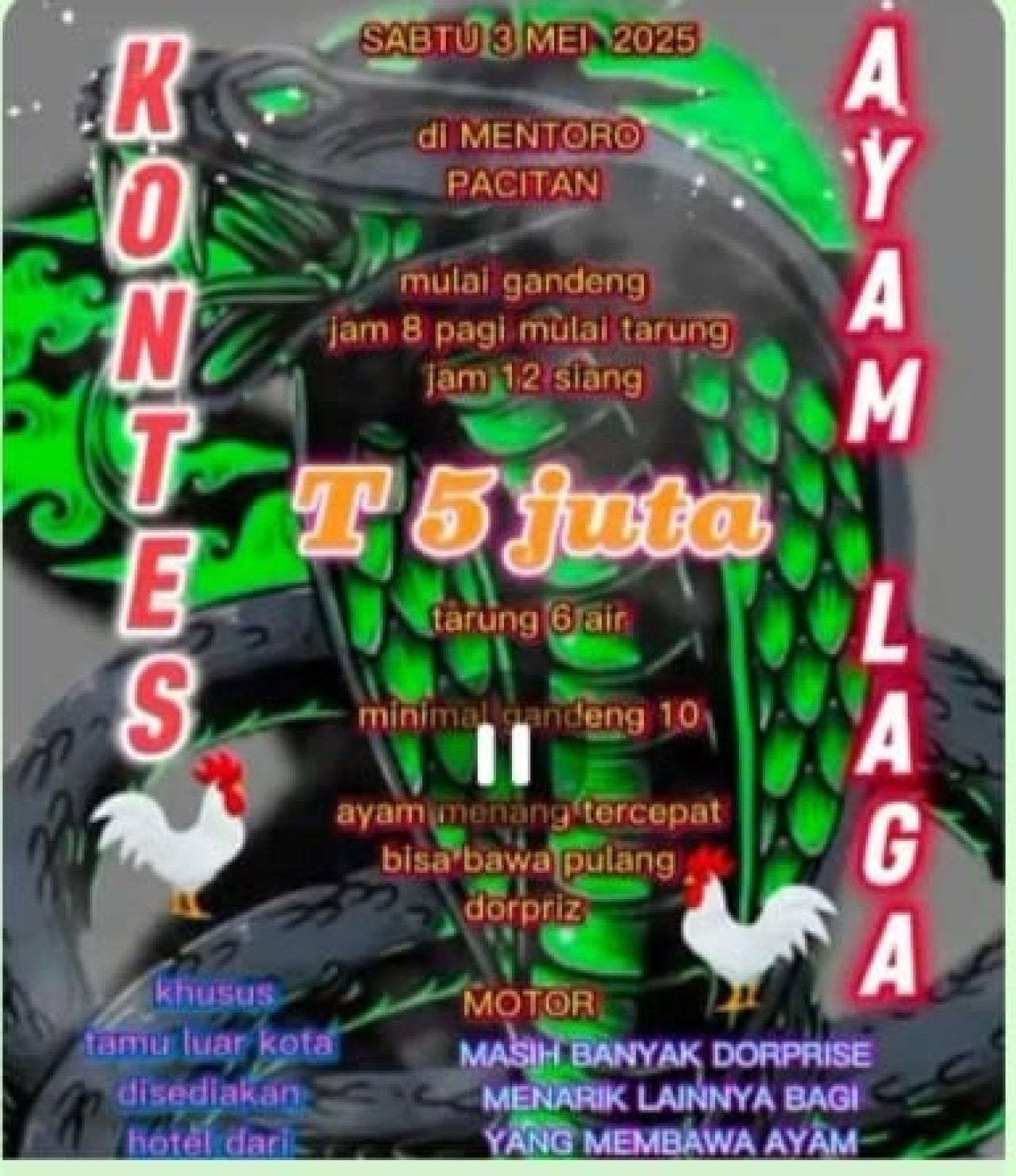 Flyer penyelenggaraan sabung ayam di Desa Mentoro