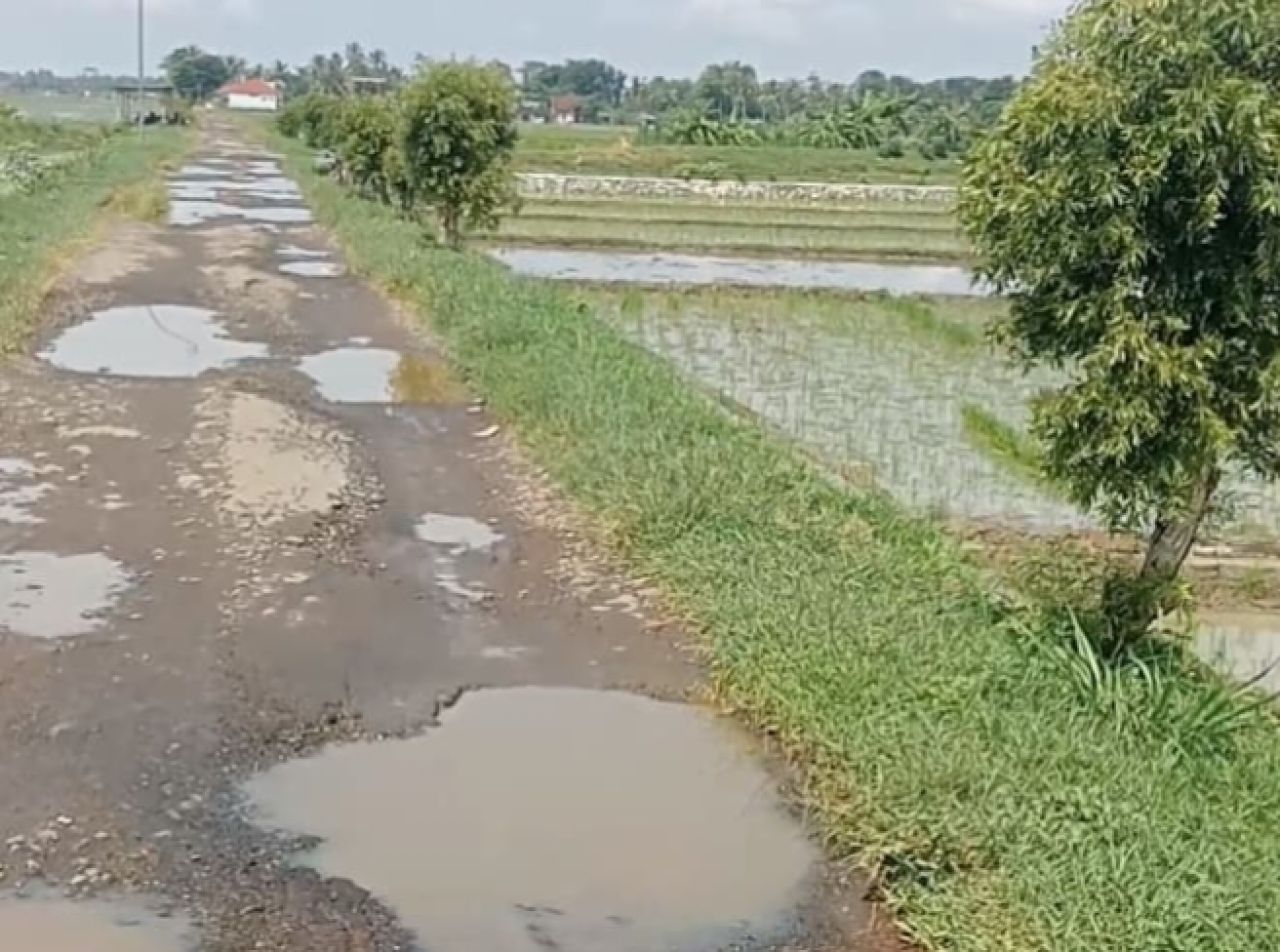 Kondisi Jalan Ci'awitali rusak