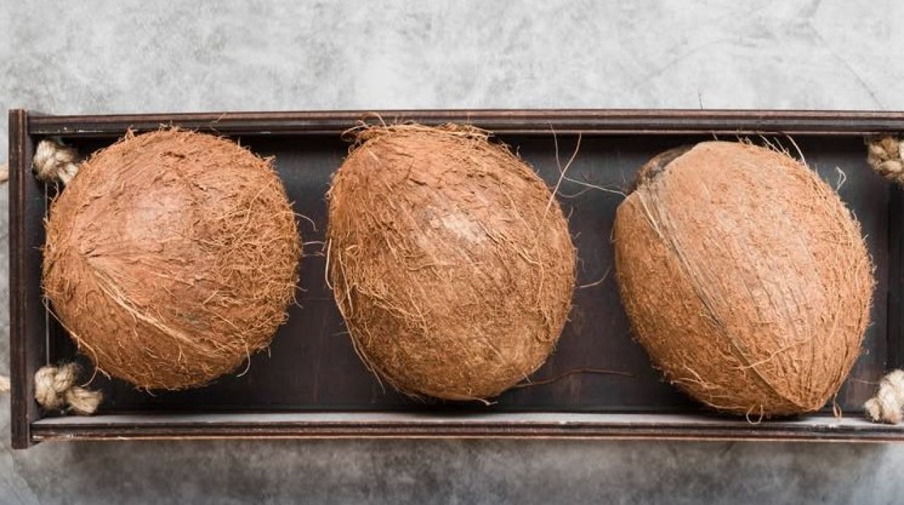Kelapa
