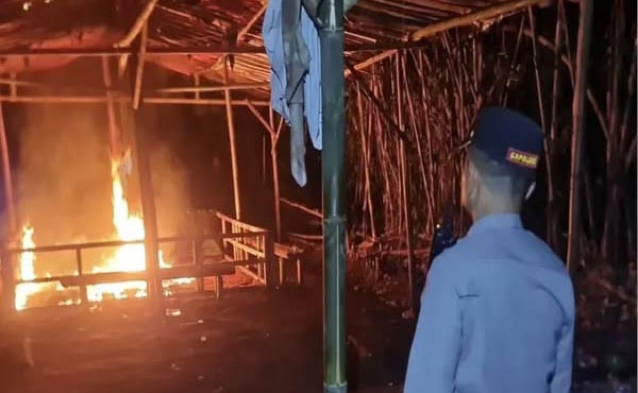 Pemusnahan arena sabung ayam