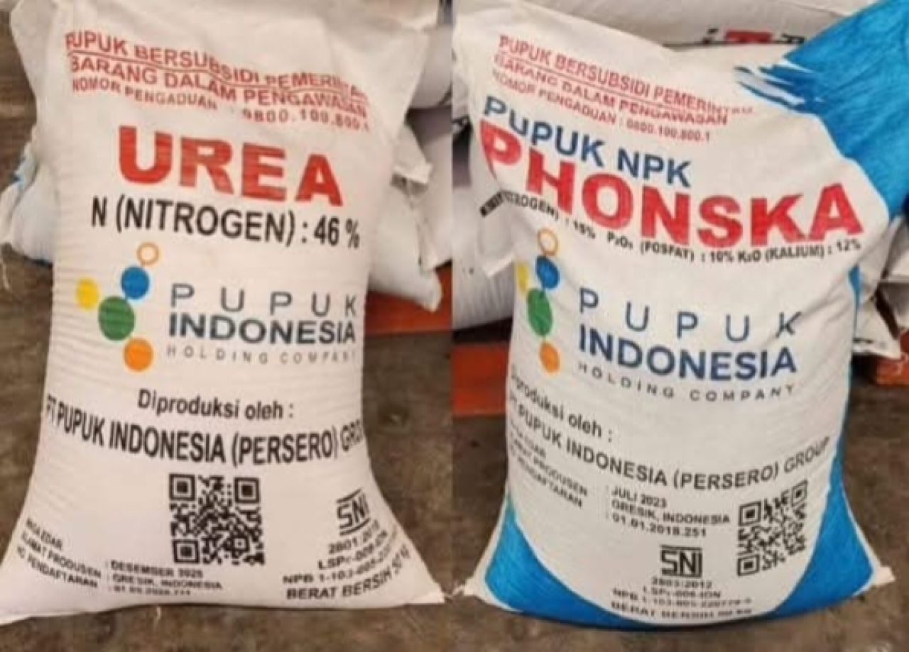Pupuk subsidi