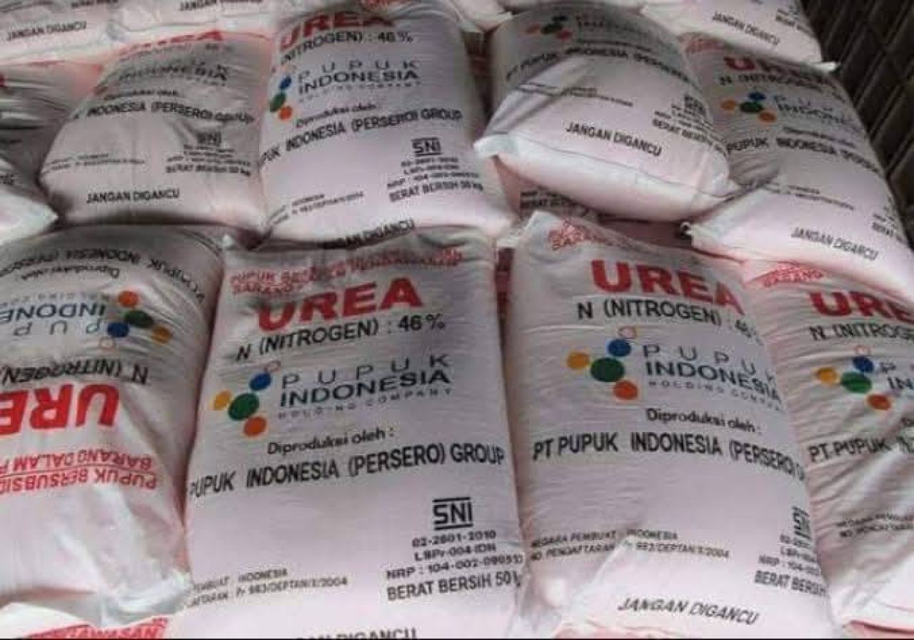 Pupuk Urea