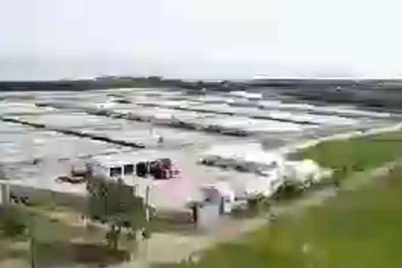 Tambak di Situbondo