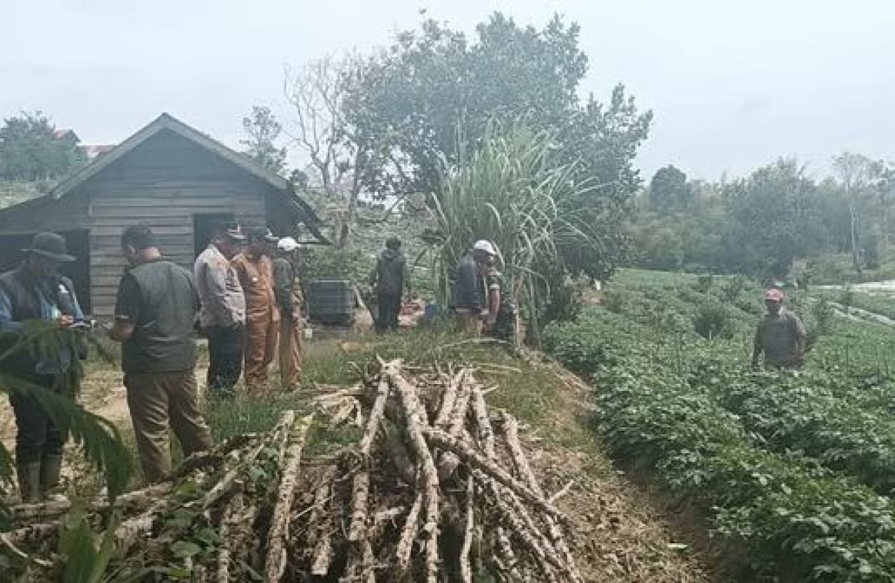 Kapolsek Simpang Empat mengecek lokasi Harimau