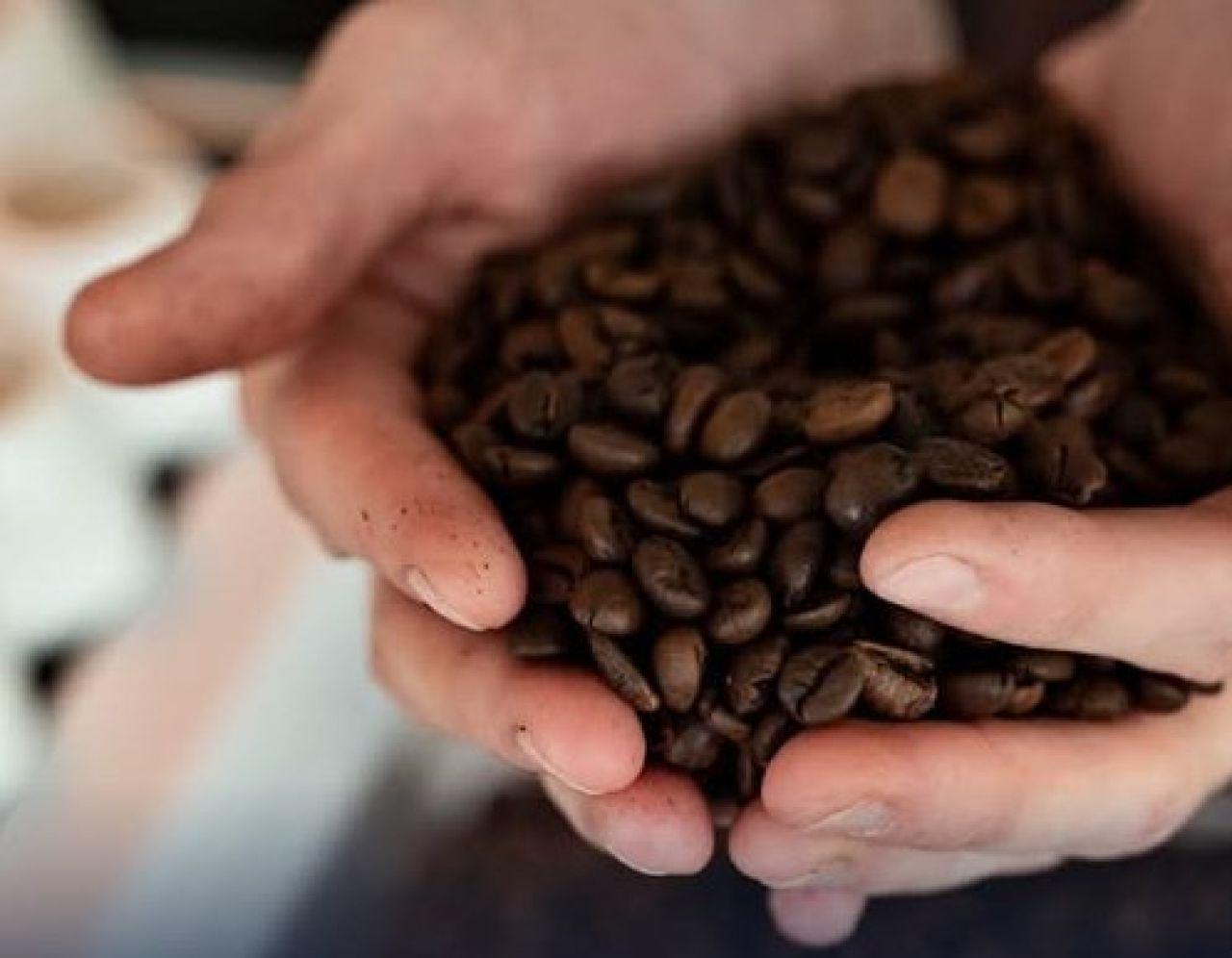 Kopi