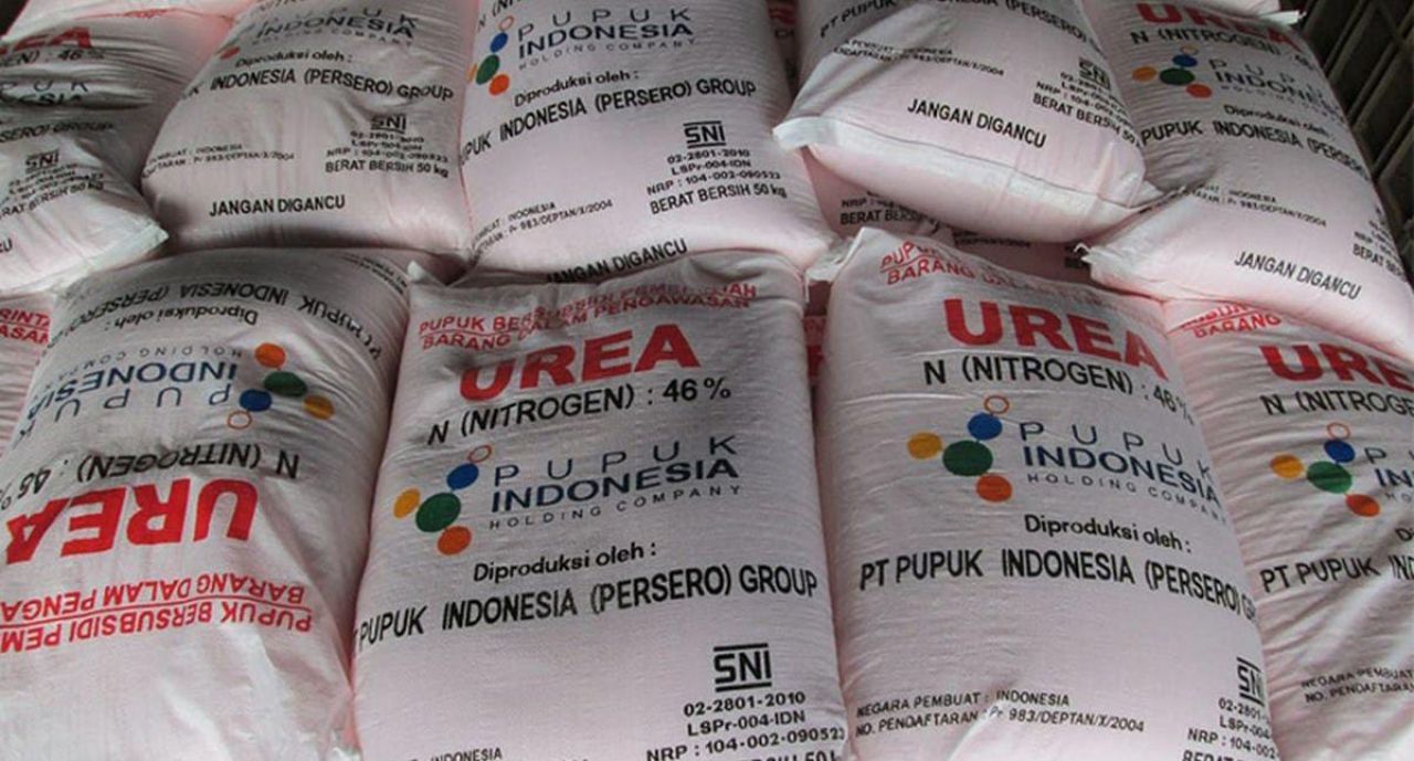 Pupuk subsidi