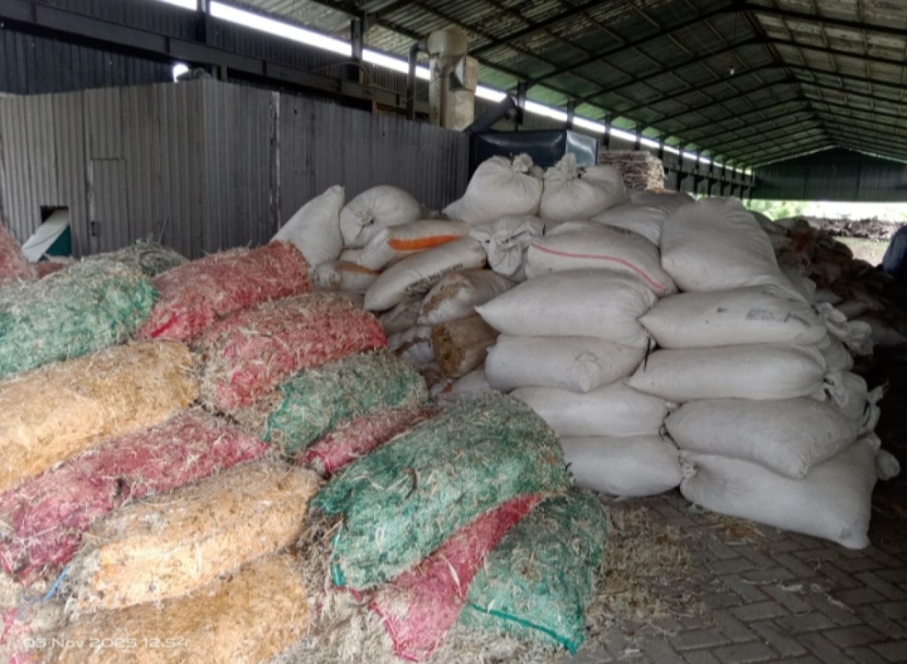 Tumpukan bulu ayam yang belum diolah