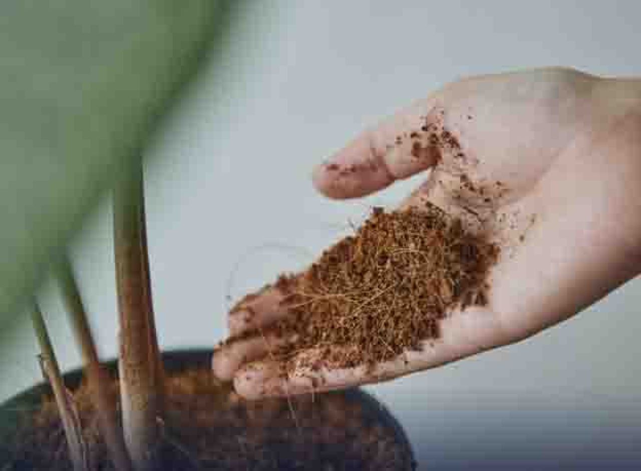 Cocopeat