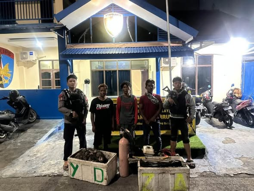 Pelaku penangkapan Kerang Lola ilegal