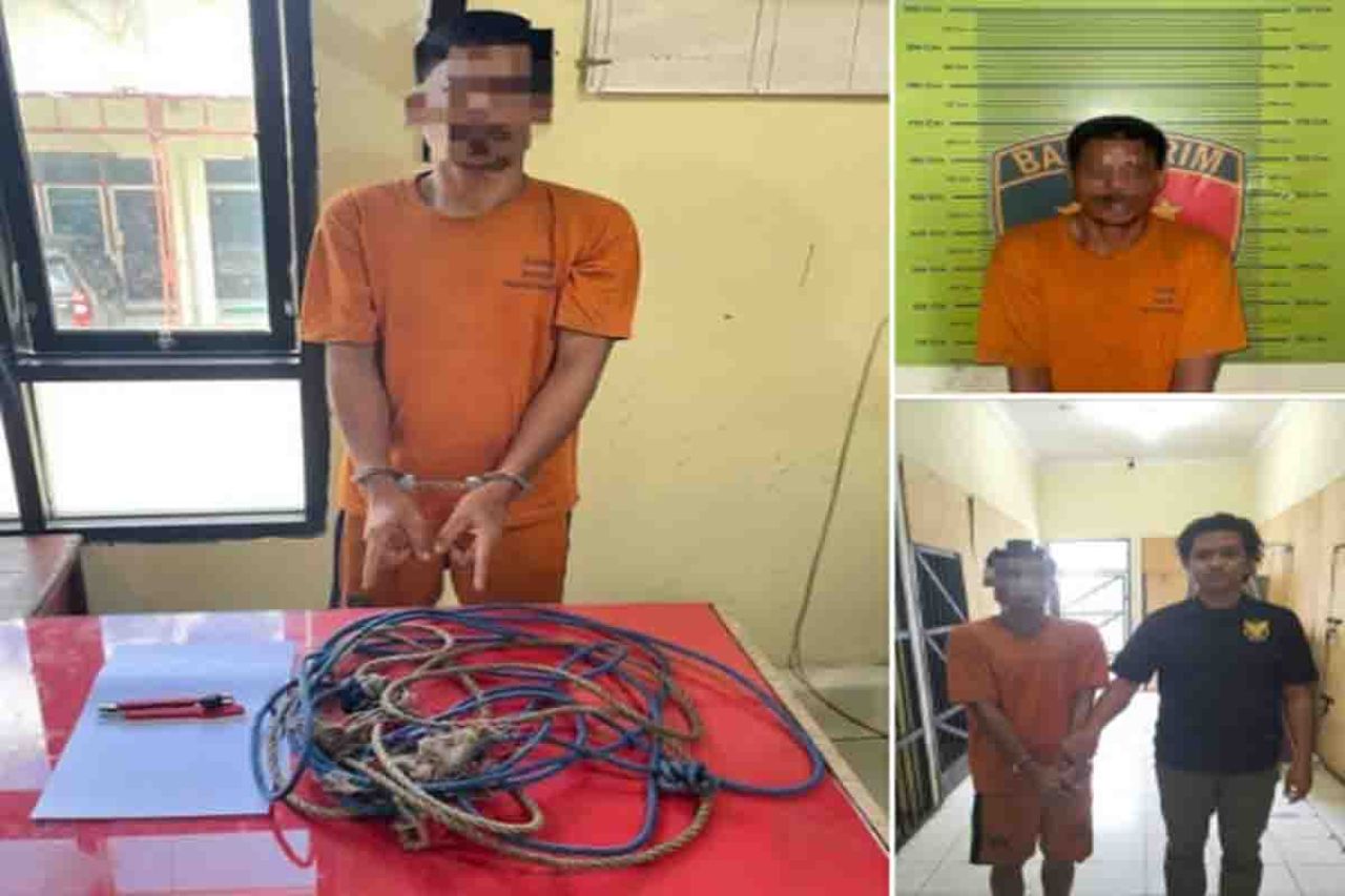 Pelaku pencurian lembu
