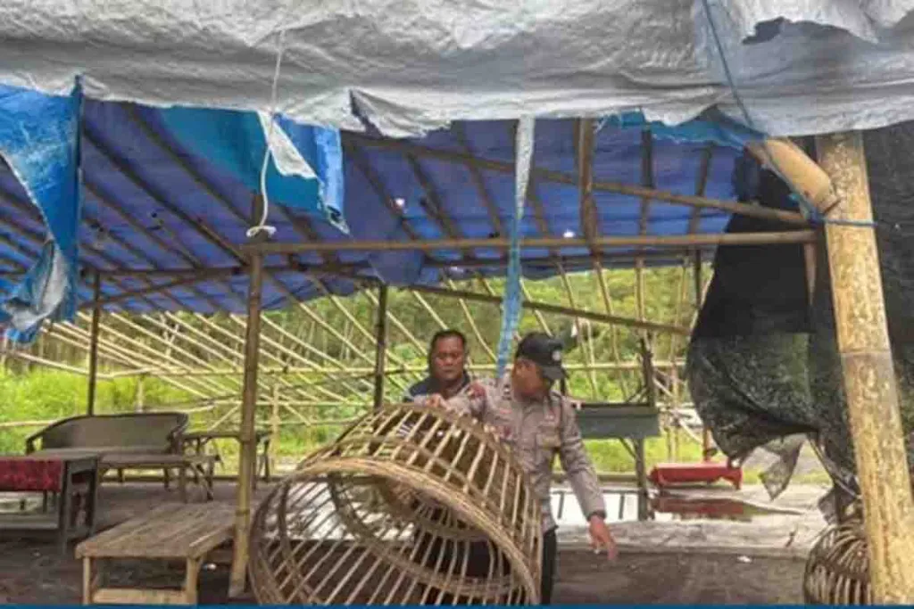 Polsek Tempeh Gagal Menangkap Penjudi Sabung Ayam di Desa Lempeni