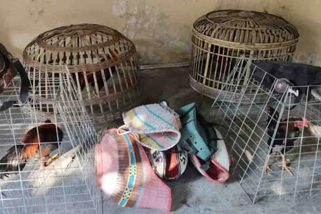 Polsek Babat Grebek Arena Sabung Ayam di Desa Moropelang