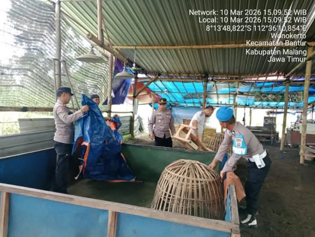 Polres Malang Tertibkan Arena Sabung Ayam di Desa Wonokerto