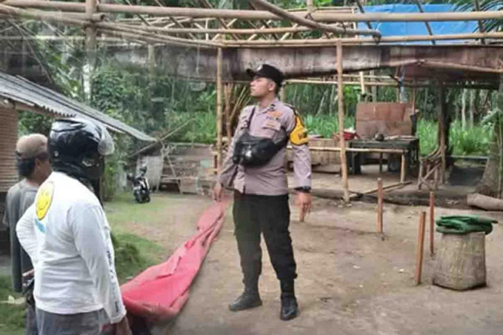 Petugas Polsek Ranuyoso membongkar arena sabung ayam di Wates Wetan