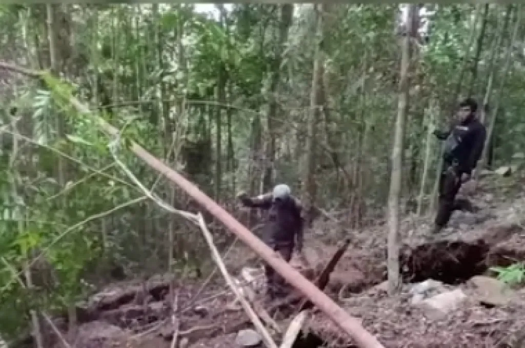 Menambang Timah di Bukit Menumbing, Edi Divonis Pidana 8 Bulan