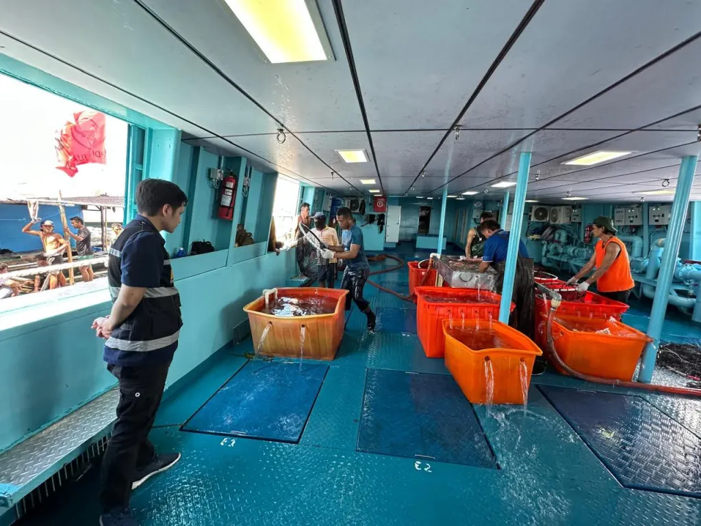 12 Ton Ikan Kerapu dari Madura Diekspor ke Hong Kong