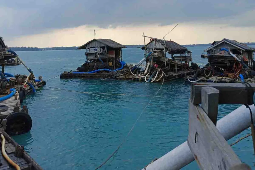 Penjara 5 Bulan Bagi Oktavia karena Menambang Ilegal di Desa Perlang