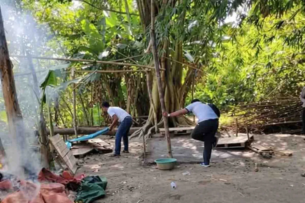 Polsek Tulangan Gagal Tangkap Pelaku Sabung Ayam di Desa Kemantren