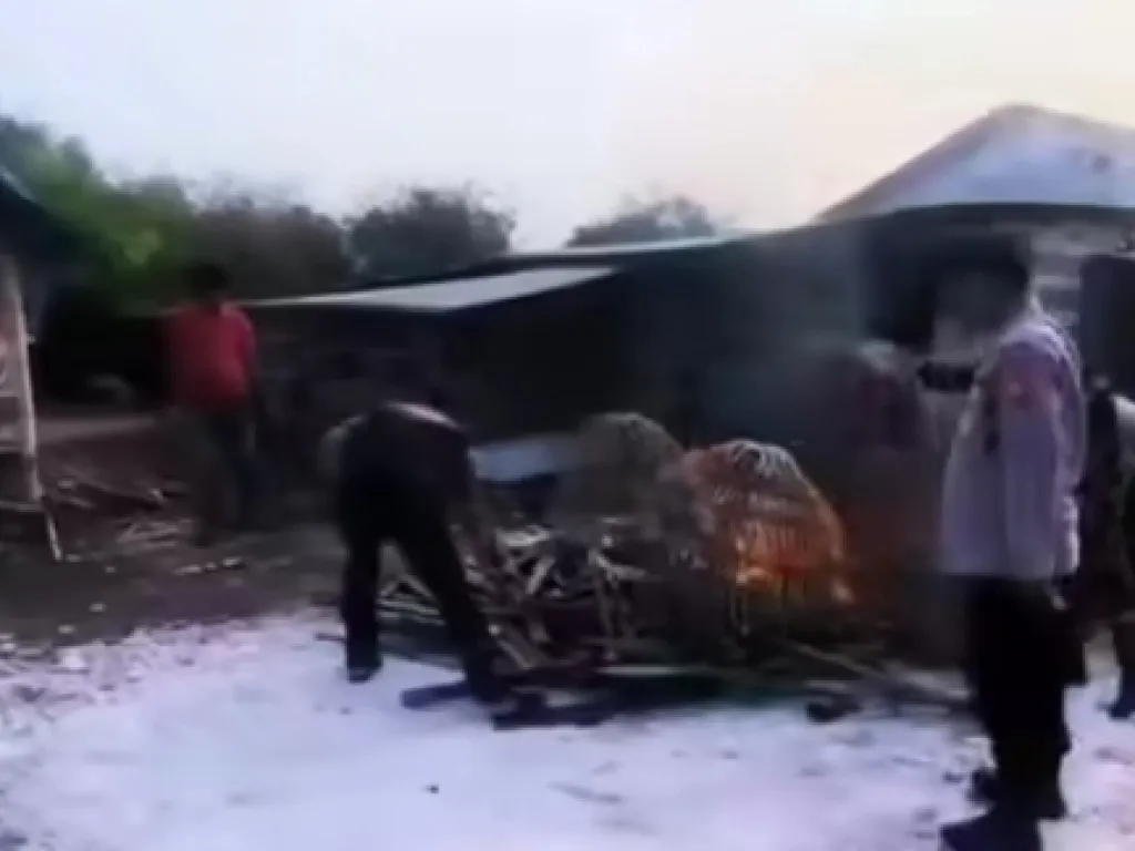 Grebek Sabung Ayam Tanpa Tangkap Pelaku, Polres Gresik Tak Serius Berantas Perjudian