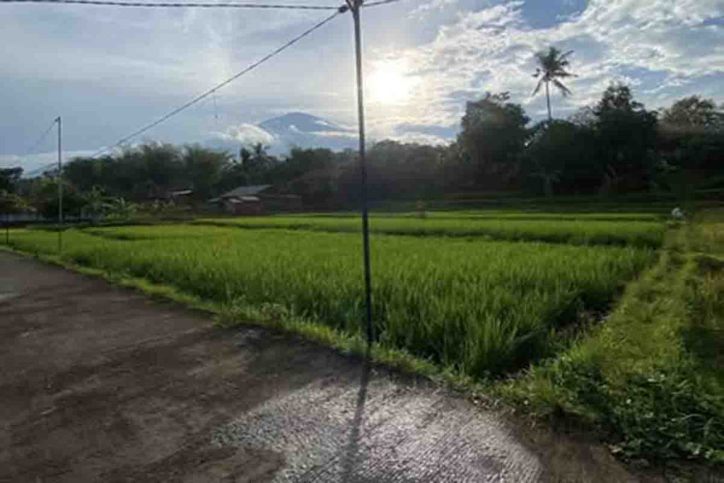 Lahan Pertanian Pangan Berkelanjutan