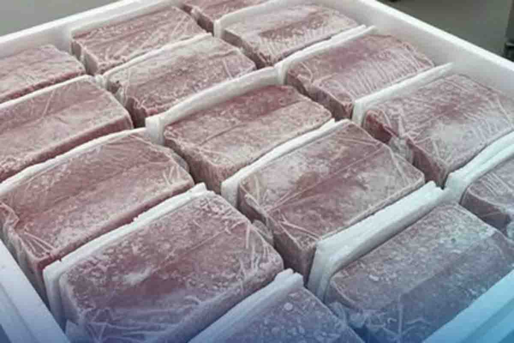 Tuna beku