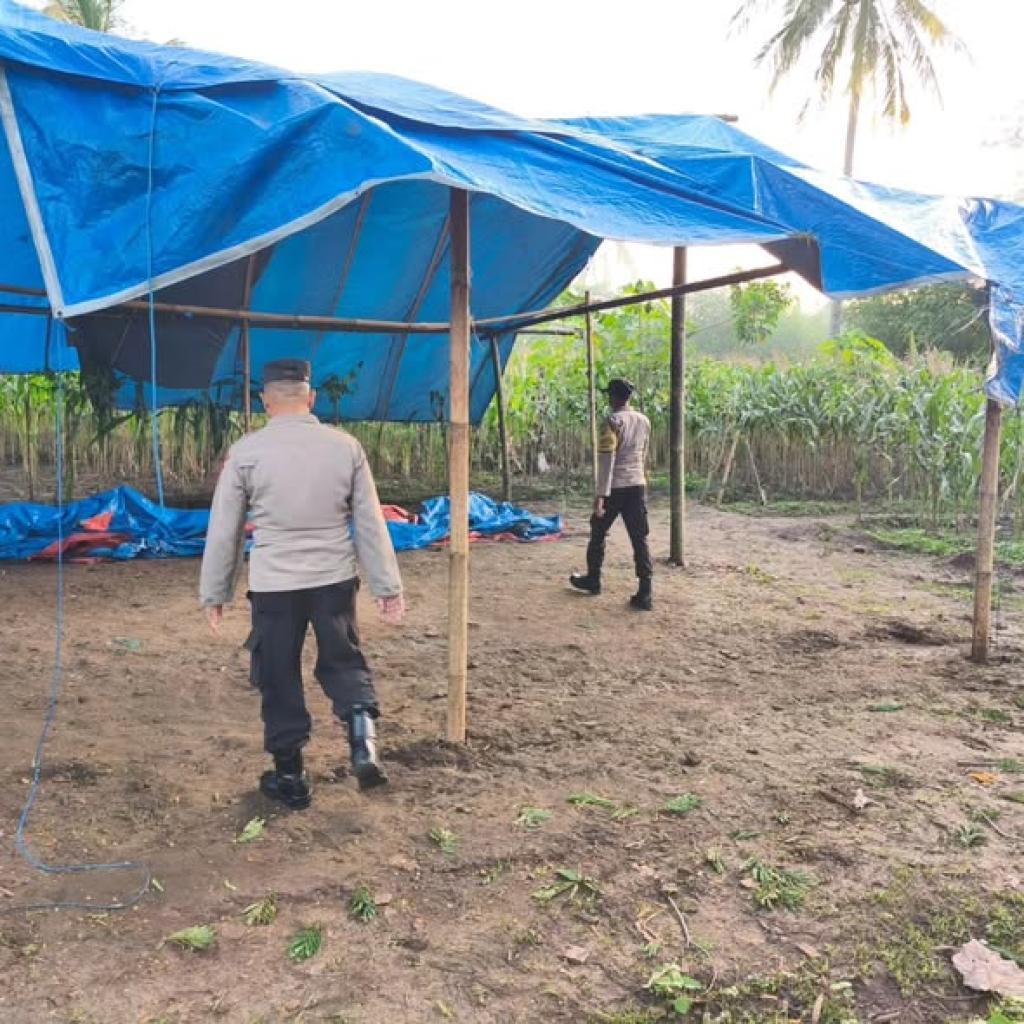 Pembongkaran arena sabung ayam di Desa Arjosari
