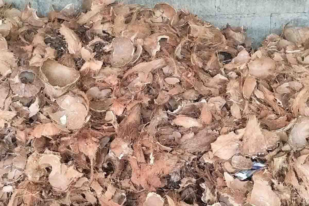 Batok kelapa yang dijual di Facebook oleh Candra Moh Tori