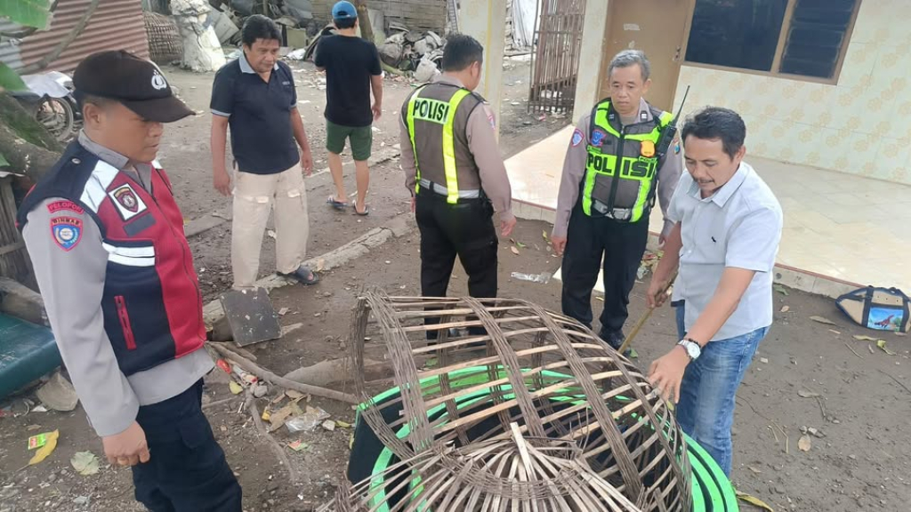 Pembongkaran arena sabung ayam oleh Polresta Sidoarjo