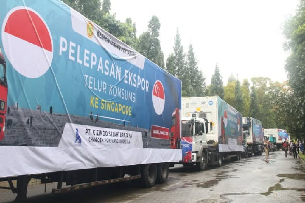 Ekspor 545 ton produk unggas senilai Rp 18,2 miliar ke Singapura, Jepang, dan Timor Leste