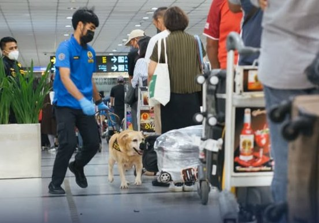 Barang bawaan penumpang di Bandara
