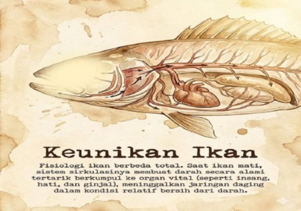 Ikan