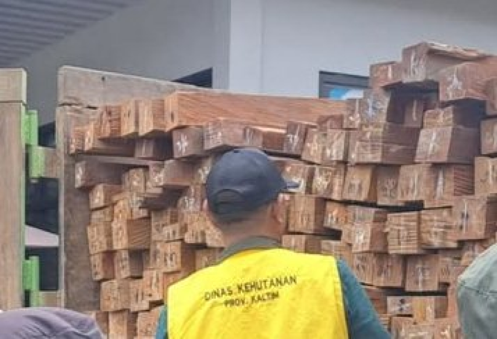 Kayu ilegal yang ditangkap petugas kehutanan