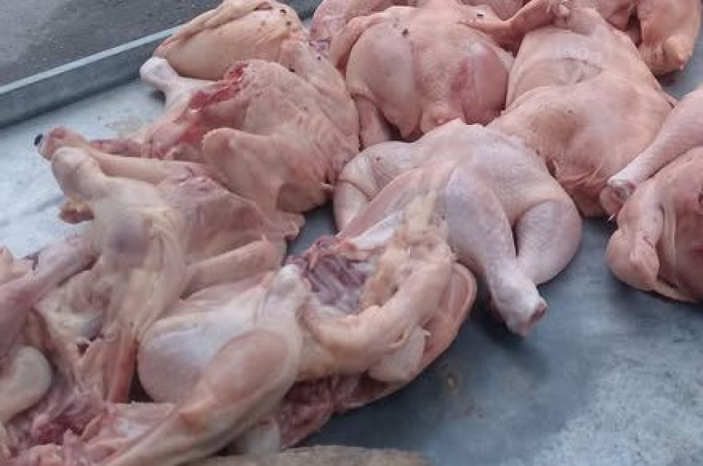 Ayam potong