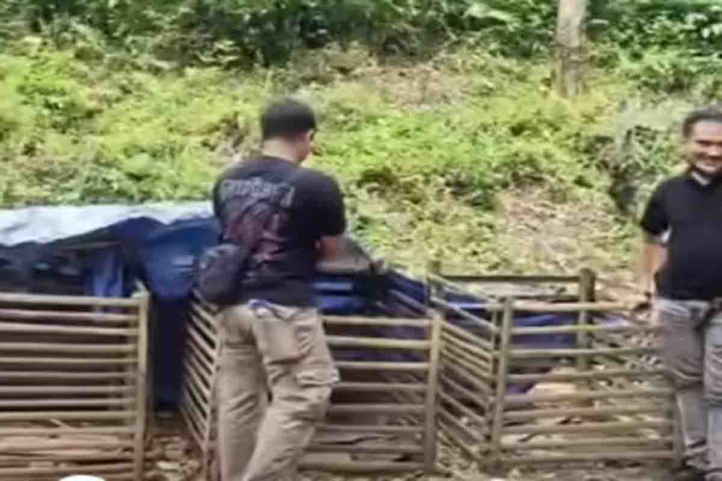 Arena sabung ayam di  Desa Rantau Tenang