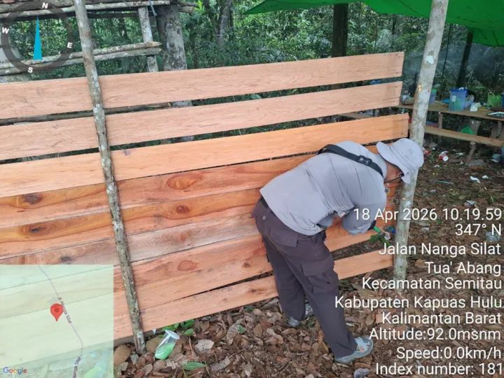 Arena sabung ayam di Desa Sekedau