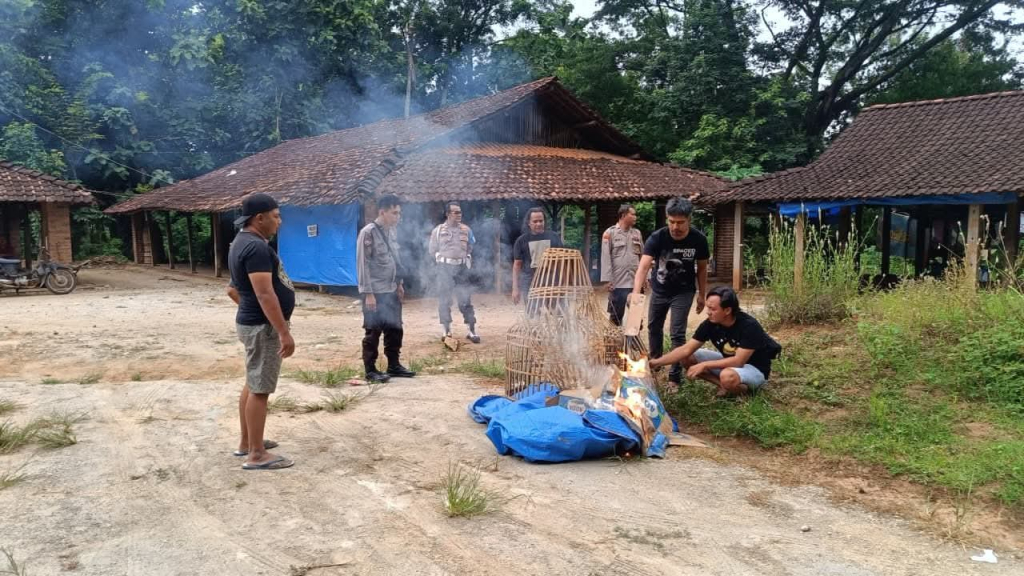 Arena sabung ayam yang dibongkar Polres Ponorogo