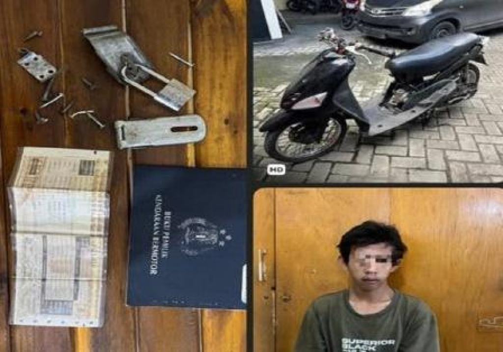 Pelaku berinisial MFB