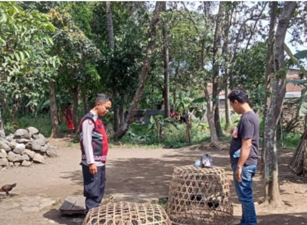 Petugas Polsek Rancaekek bongkar arena sabung ayam