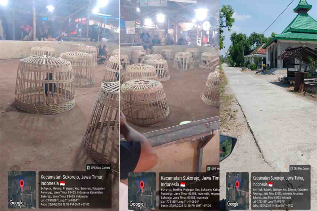 Arena sabung ayam di Desa Serangan,  Kecamatan Sukorejo, Kabupaten Ponorogo