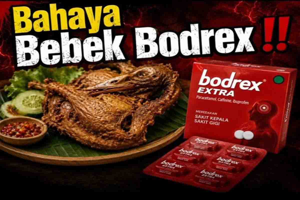 Bebek dimasak dicampur Bodrex