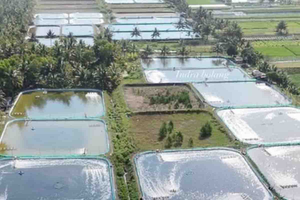 Lahan Pertanian Pangan Berkelanjutan