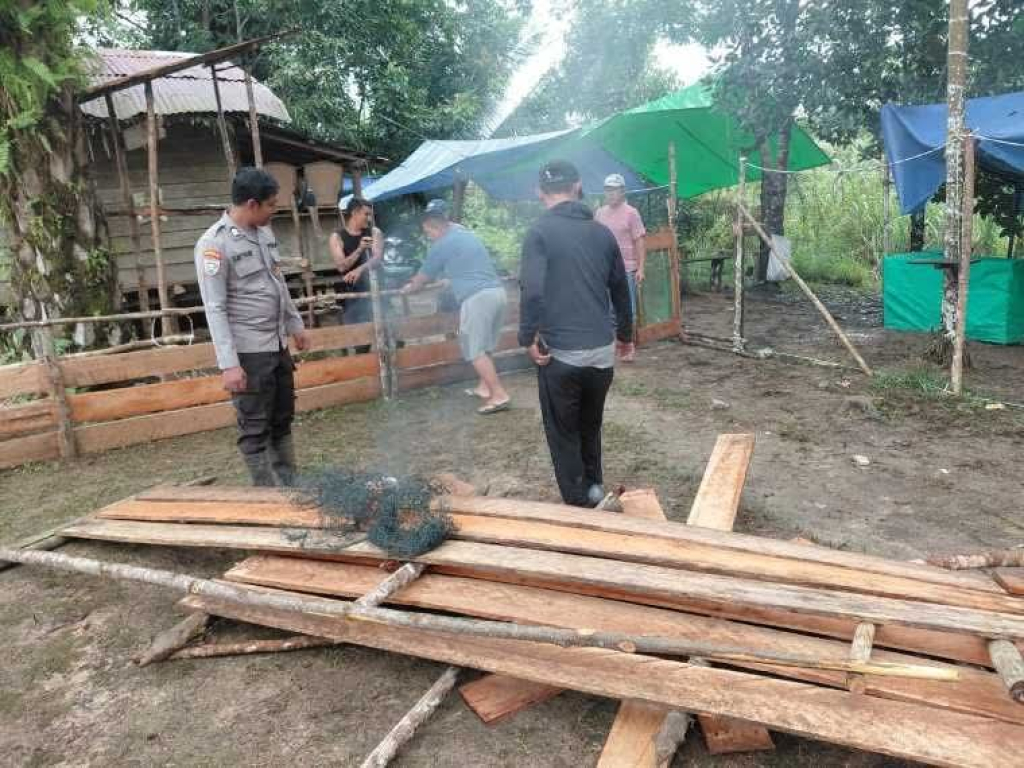 Petugas Polsek Belitang Hilir membongkar arena sabung ayam