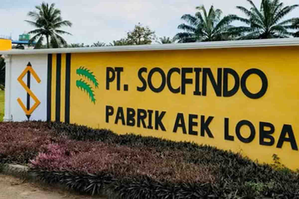 PT Socfindo Kebun Aek Loba