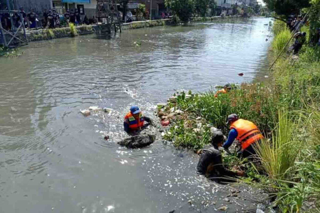 Relawan sedang membersihkan enceng gondok dan sampah di Sungai Pelayaran