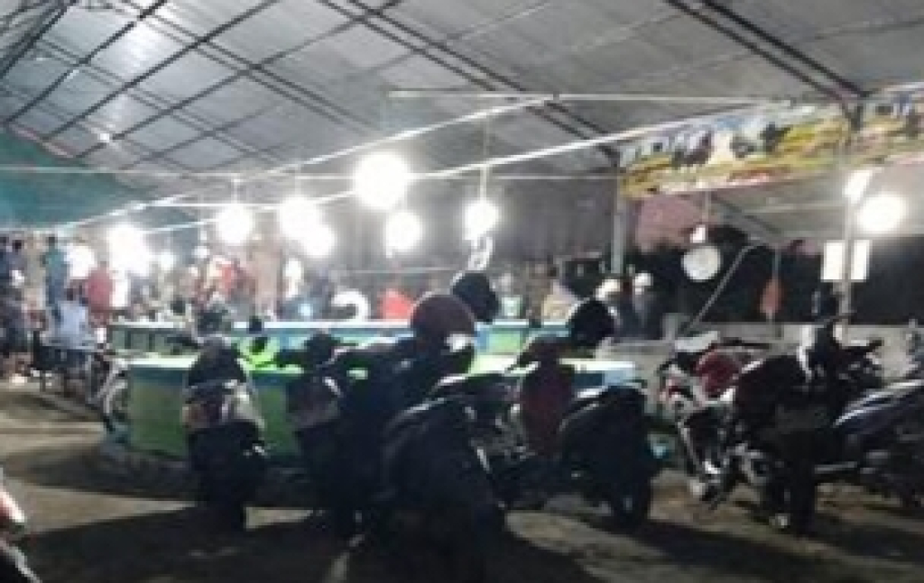 Sabung ayam di Desa Klurak